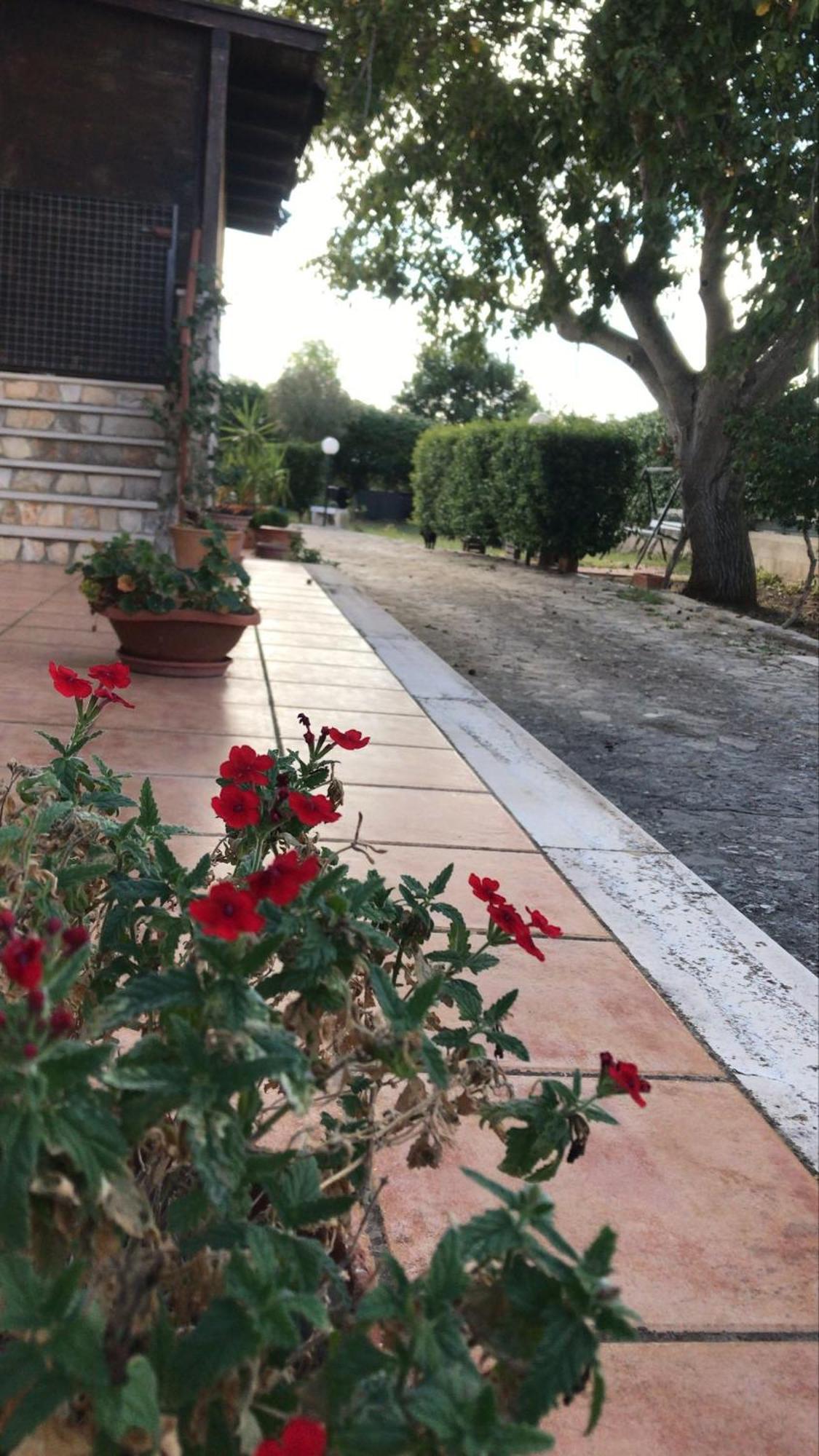 Villa Marida Gioia Del Colle Exteriör bild